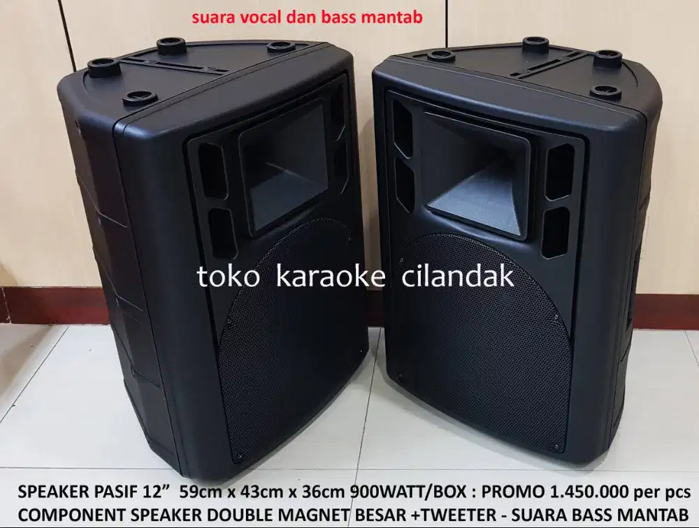 speaker pasif 12in sepasang