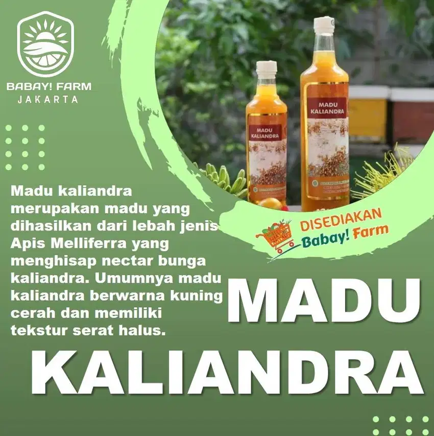 Madu Alam Asli Murni Nektar Bunga Kaliandra 500 gr / Raw Honey 1 kg