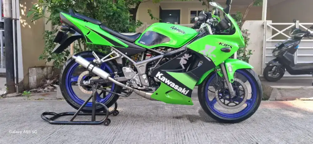 Kawasaki Ninja 2011 SE