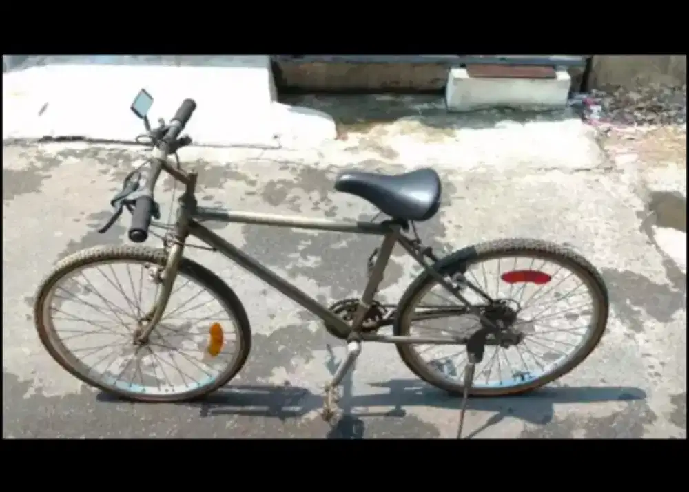 JUAL MURAH & NEGO. SEPEDA GUNUNG RALEIGH IMPORT