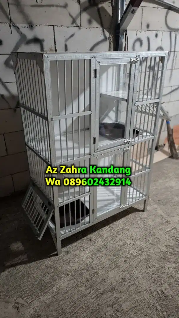 Kandang hollow kucing dan iguana