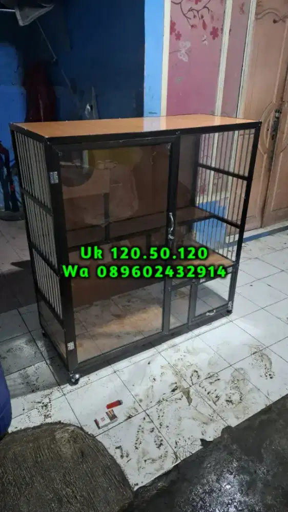 Kandang kucing dan iguana murah