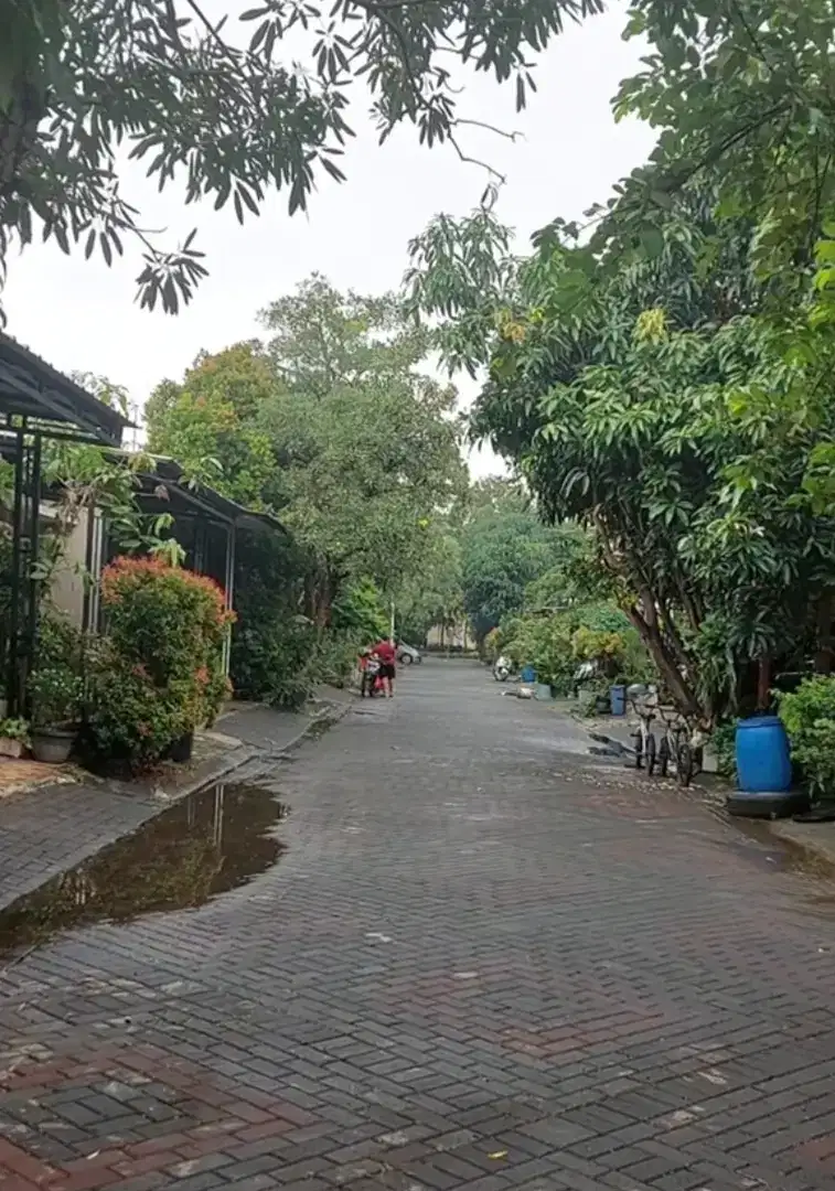 Djava Residence di sewakan