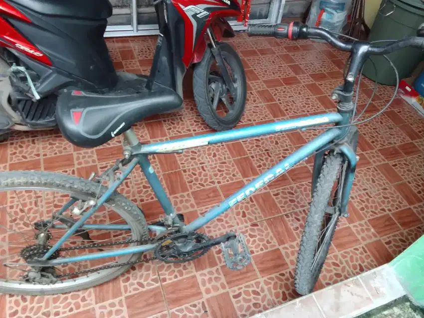 Sepeda federal cycle 2000 warna biru