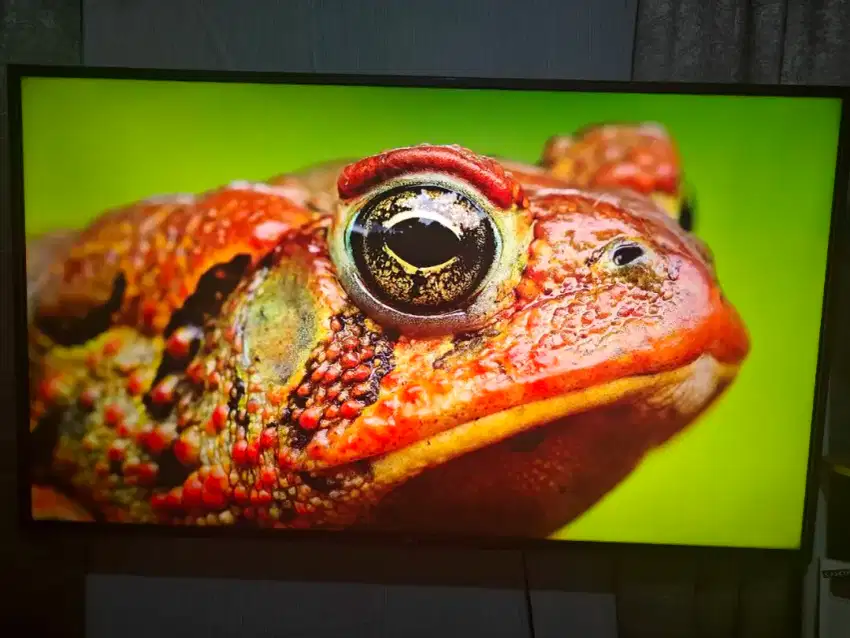 Smart TV LG LED 60 inch 4K UHD AI ThinQ tipe 60UN7100PTA Magic Remote