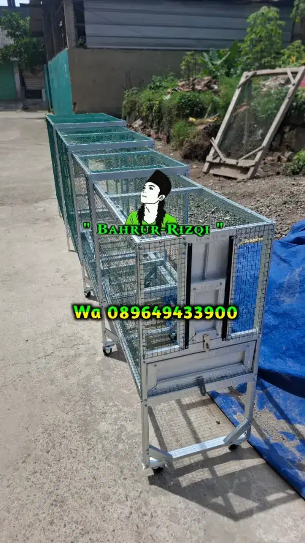 Keparan umbaran murai