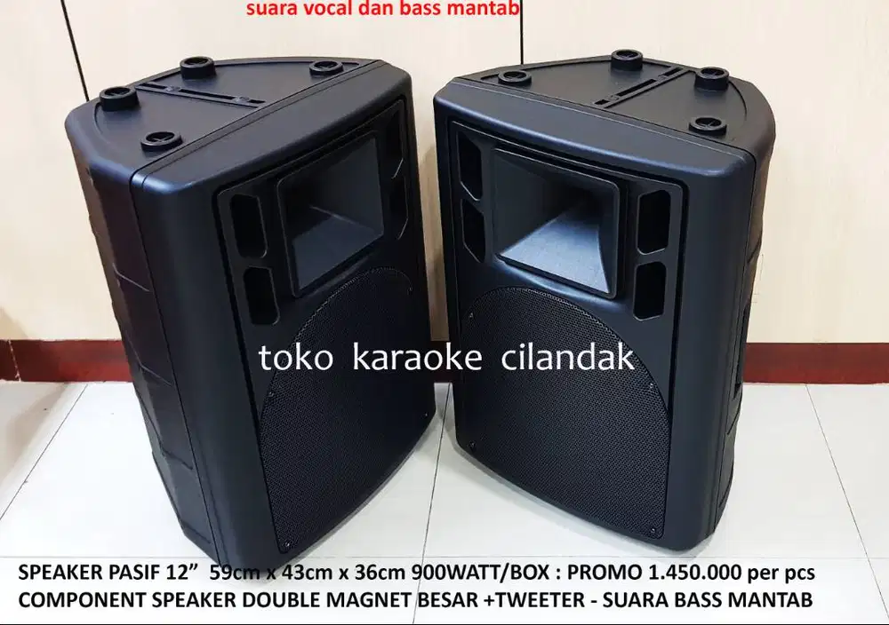 speaker pasif 12in