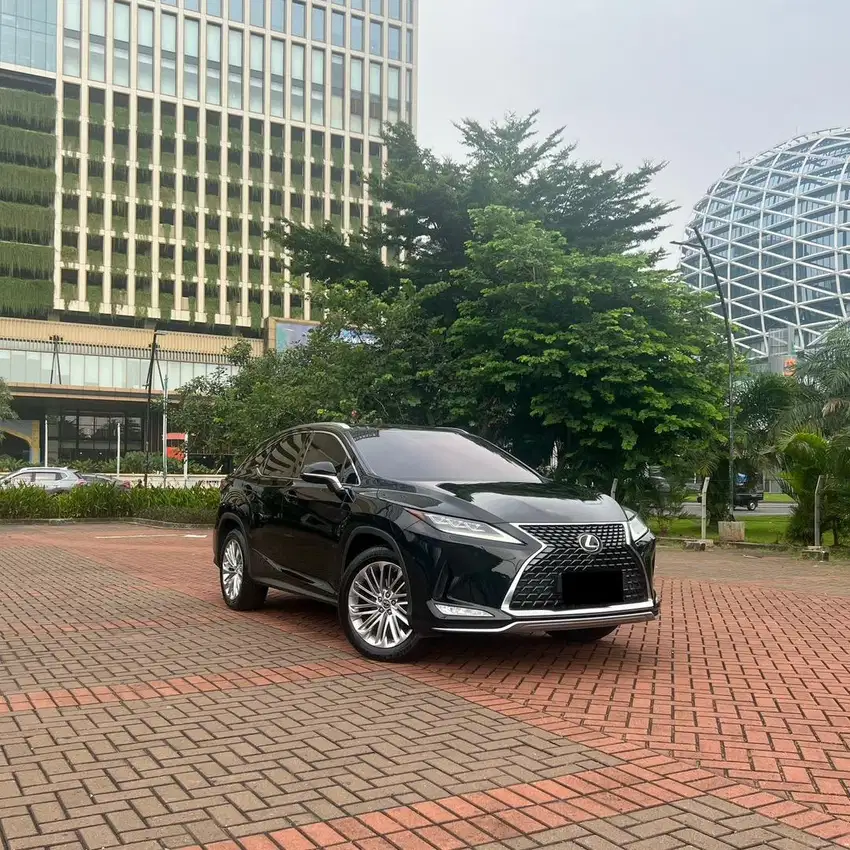 Lexus RX 300 Luxury 2020