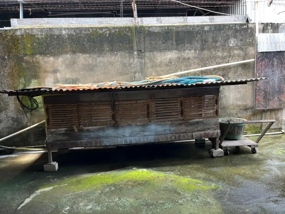 Di jual sangkar burung merpati dll