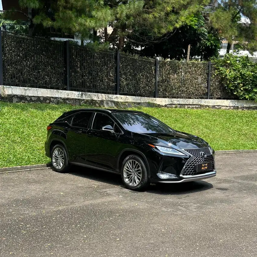 Lexus RX 300 Luxury 2019