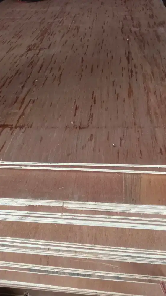 Triplek sengon dan semi meranti