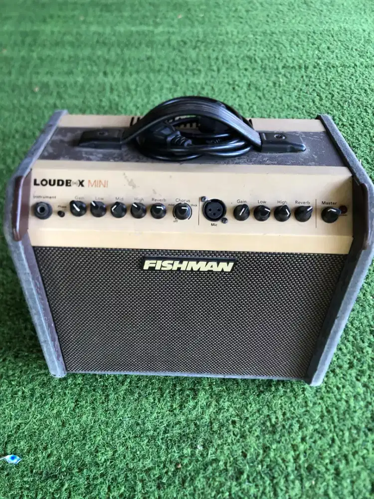 Ampli Fishman loudbox mini