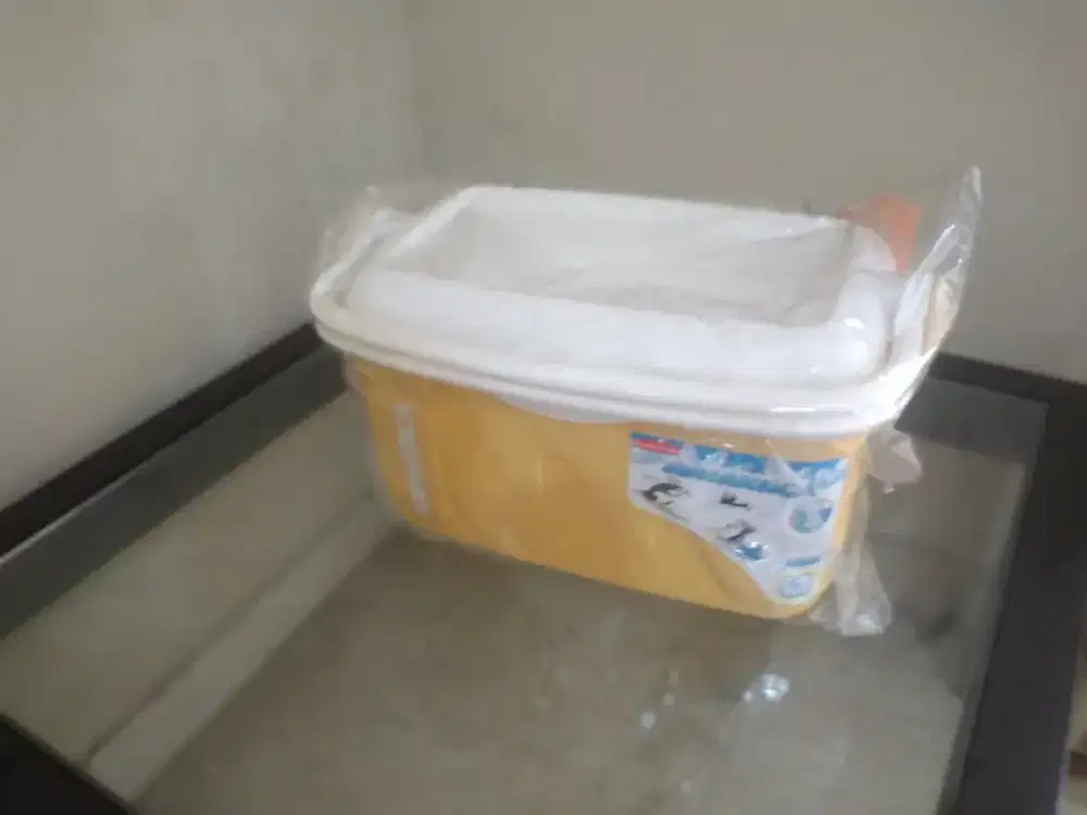 Dijual ice box rubbermaid antartika dari ACE Hardware