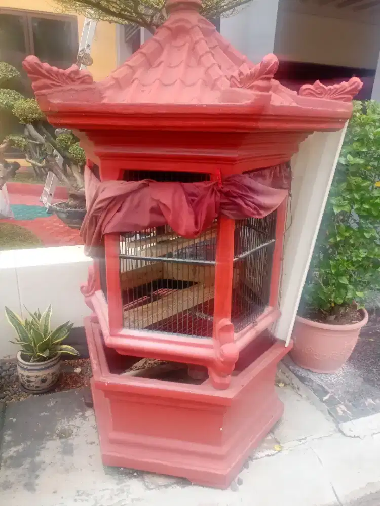 KANDANG SEMEN SIAP PAKAI