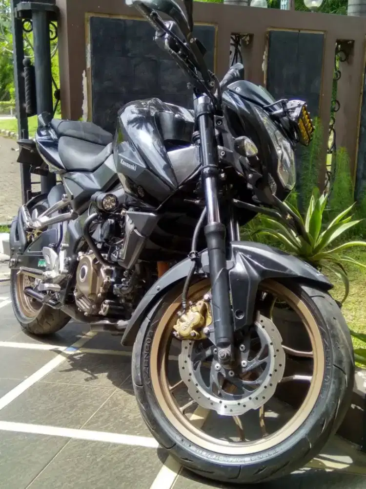 200NS Pulsar Kawasaki