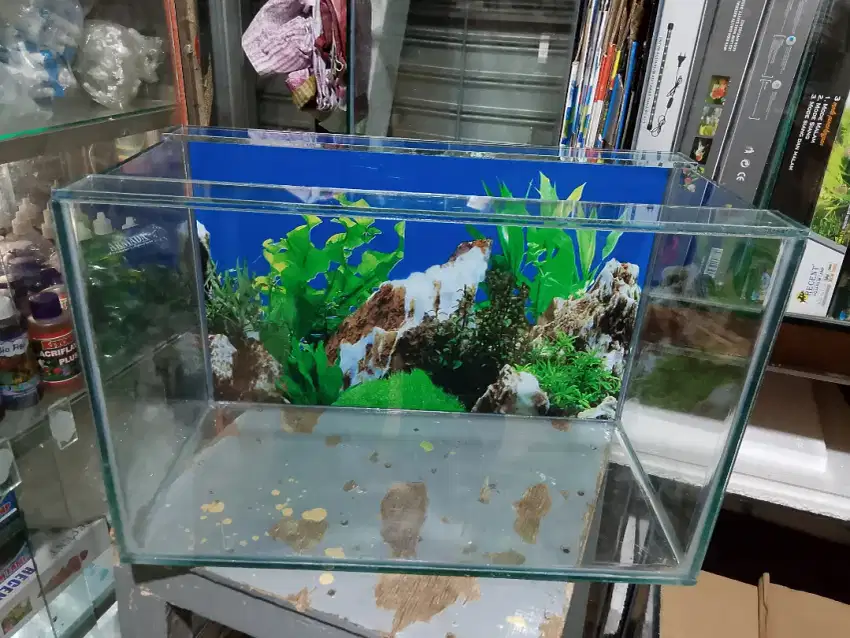 Aquarium 40*20*25 baru