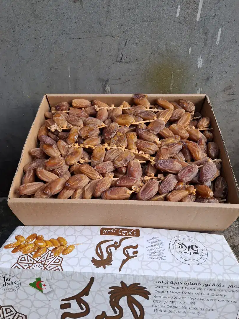 Kurma suakri,Tunis tangkai