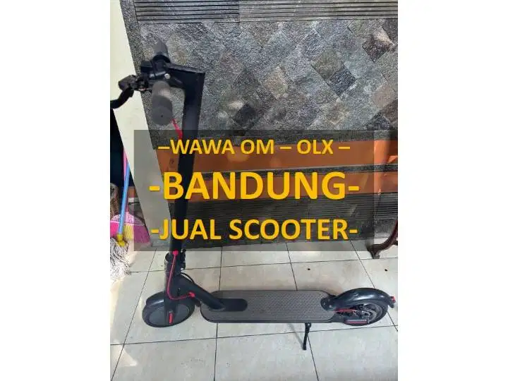 FOLDABLE ELECTRIC SCOOTER
