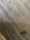 Dicari mekanik motor