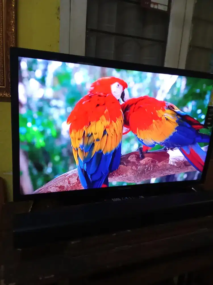 Dibeli tv bekas LED lcd plasma ampli  normal atau minus harga bagus