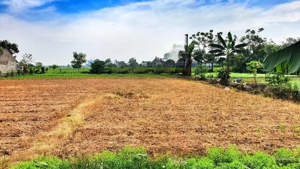 Dijual murah tanah di babelan kab. Bekasi 3 JT/ M Nego