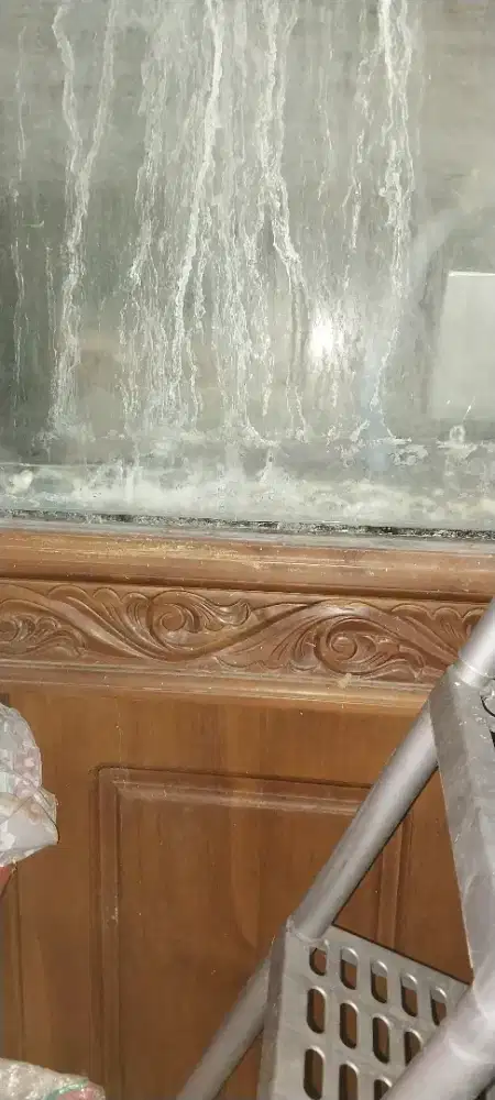 Aquarium ada mejanya