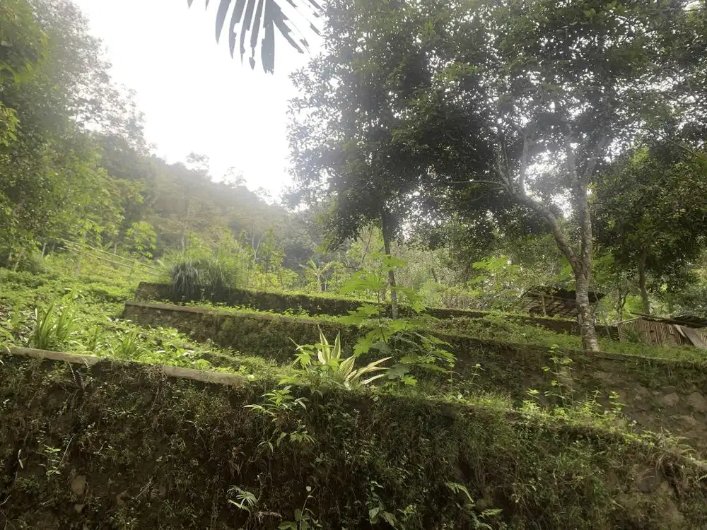 JUAL TANAH STRATEGIS SUMEDANG DEKAT PUSAT KOTA - PASTI UNTUNG!