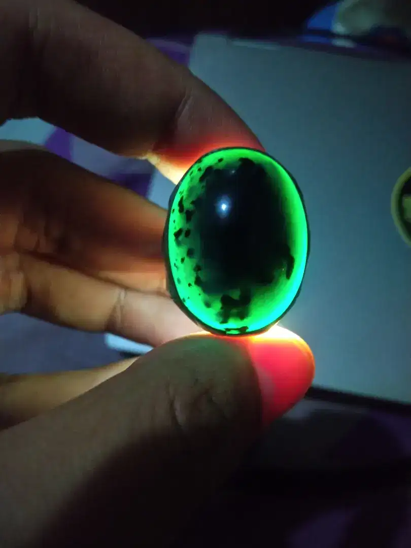Bacan Doko Coklat Totol Lawas