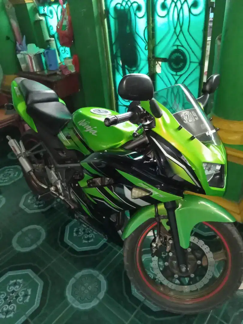 Kawasaki ninja 150rr SE