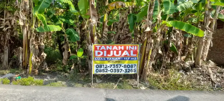 Tanah Widang Tuban