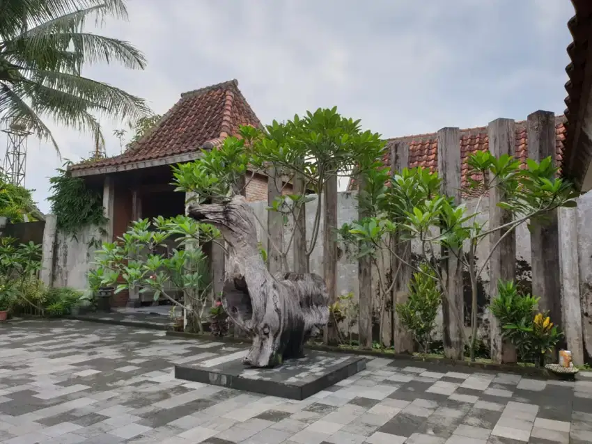 RUMAH ETNIK JAVANESE STYLE HALAMAN LUAS 4.000 M2  DI JALAN KALIURANG