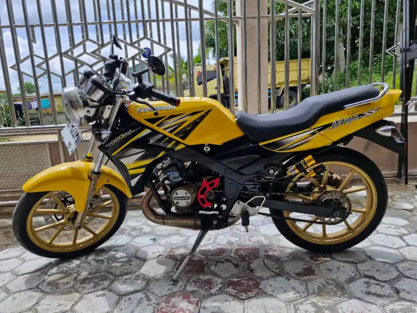 Ninja R up SS Muluss