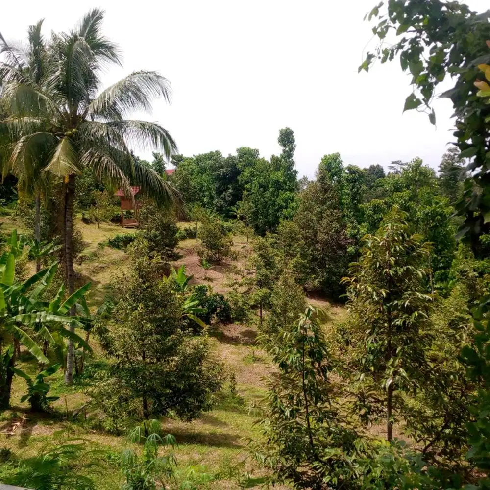 DIJUAL TANAH JALAN WONOSALAM JOMBANG LOKASI STRATEGIS