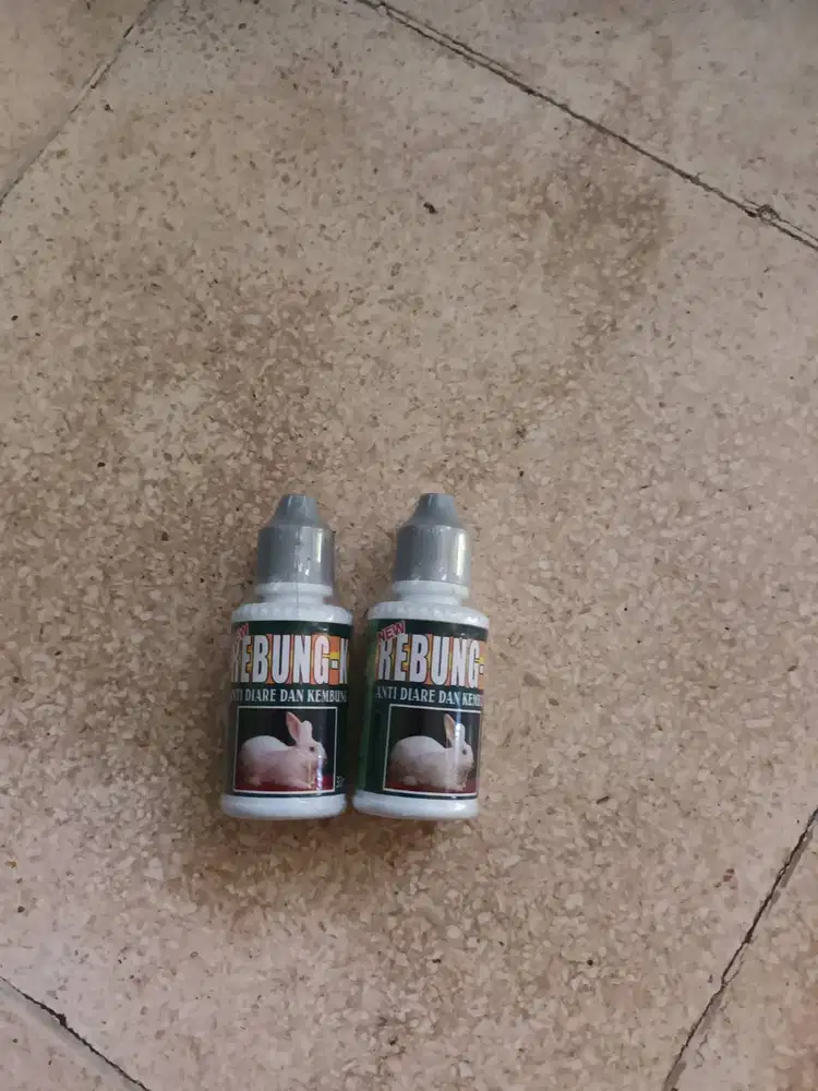 Obat anti kembung untuk kelinci