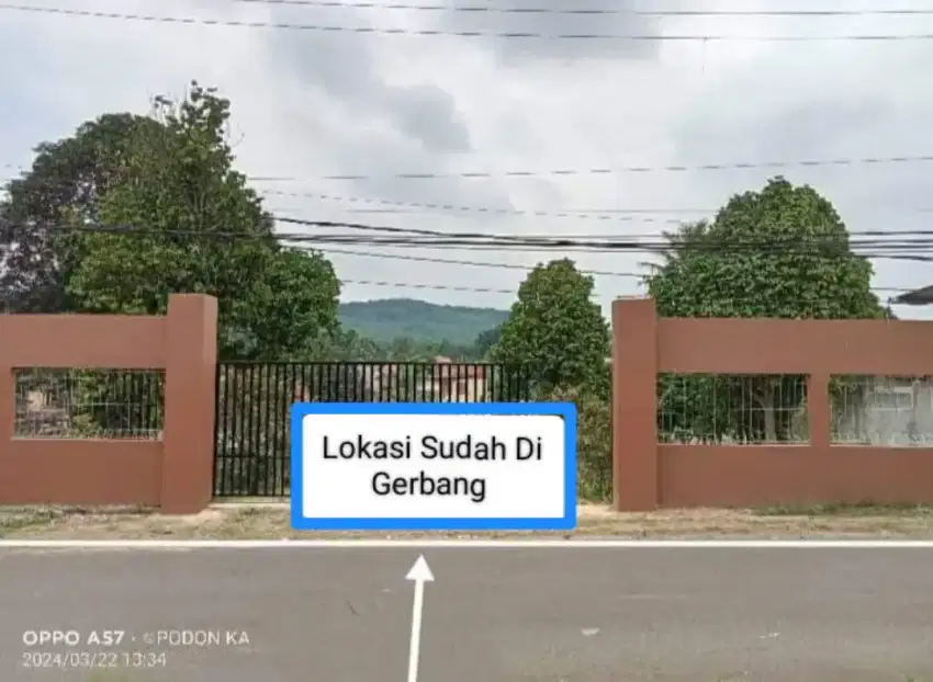 DI JUAL TANAH KEBUN DAN KOLAM IKAN PINGGIR JALAN ANGKOT