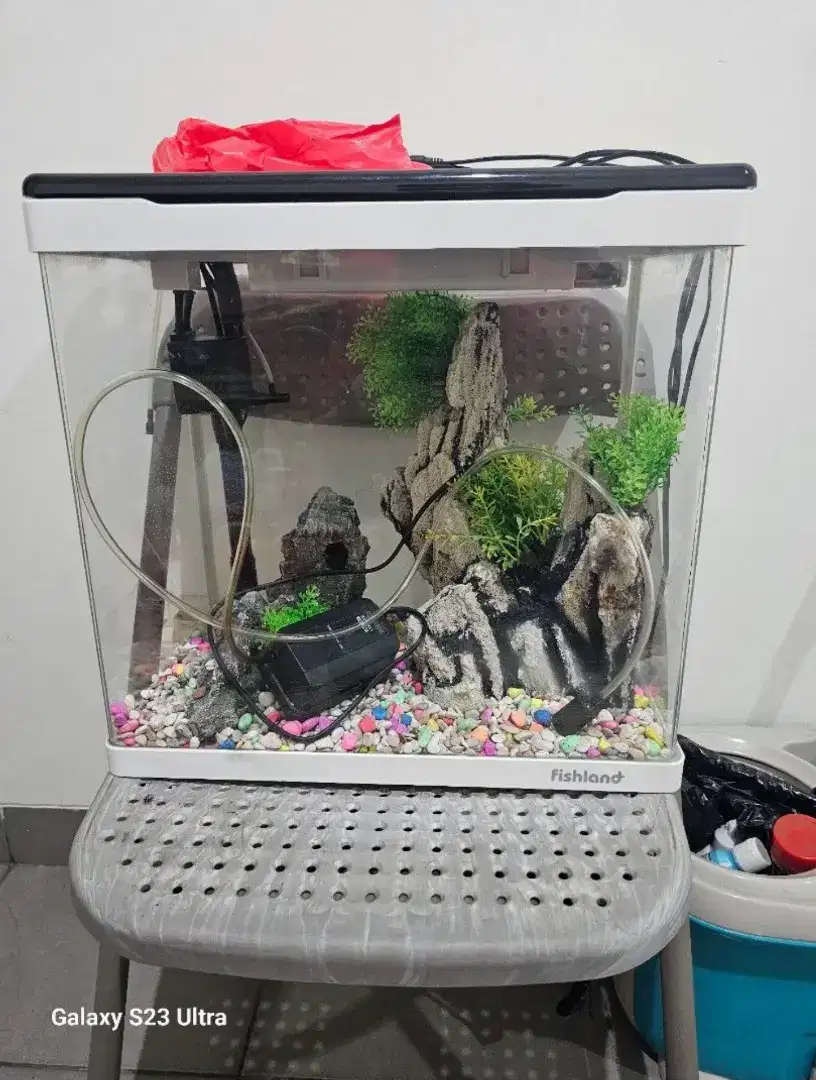 Aquarium Ikan dan perlengkapannya