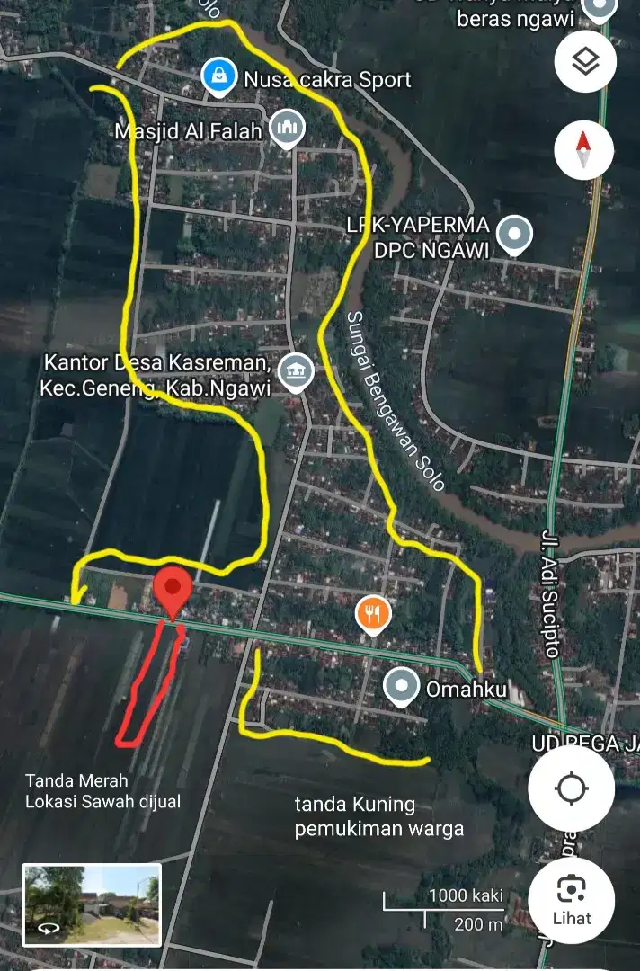Jual Tanah Sawah Produktif 8290 meter SHM