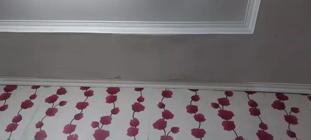 Tukang bangunan dan perbaikan atap bocor