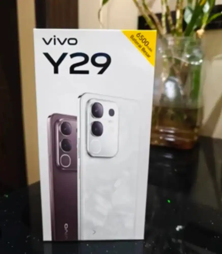 New Vivo Y29 8/256