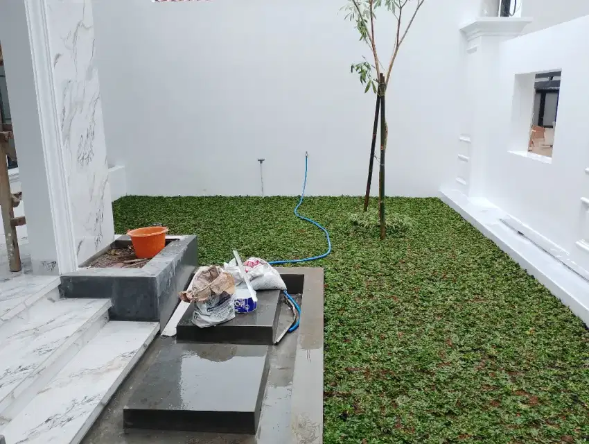 Siap kirim  dan pasang rumput gajah mini
