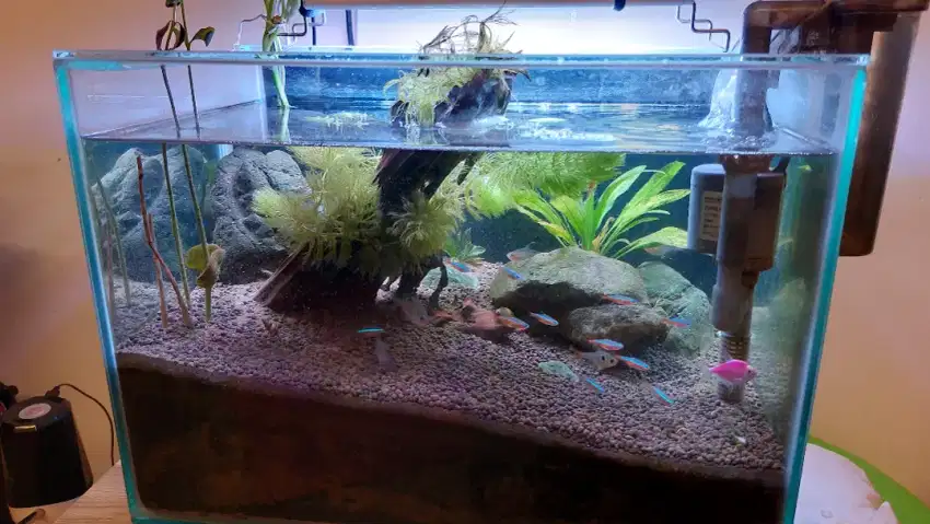 Aquarium medium 40 x 30 x 25 cm