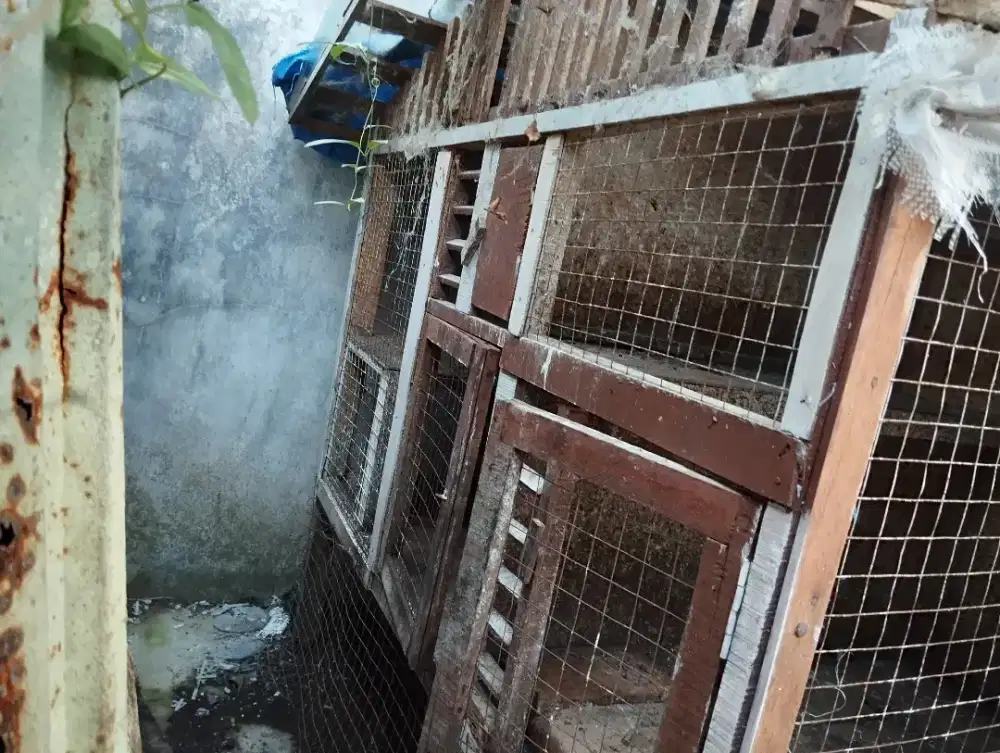 Kandang serba guna besar