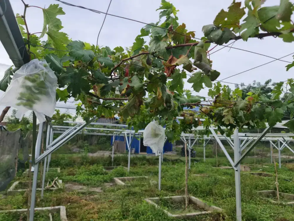 Jual Tanah dengan lokasi strategis