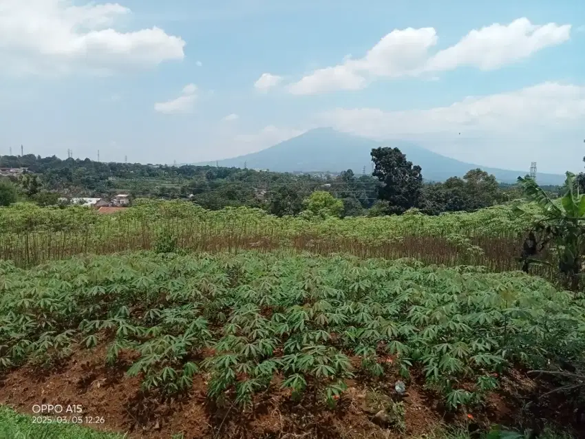 Dijual Lahan Kuning View Gunung salak