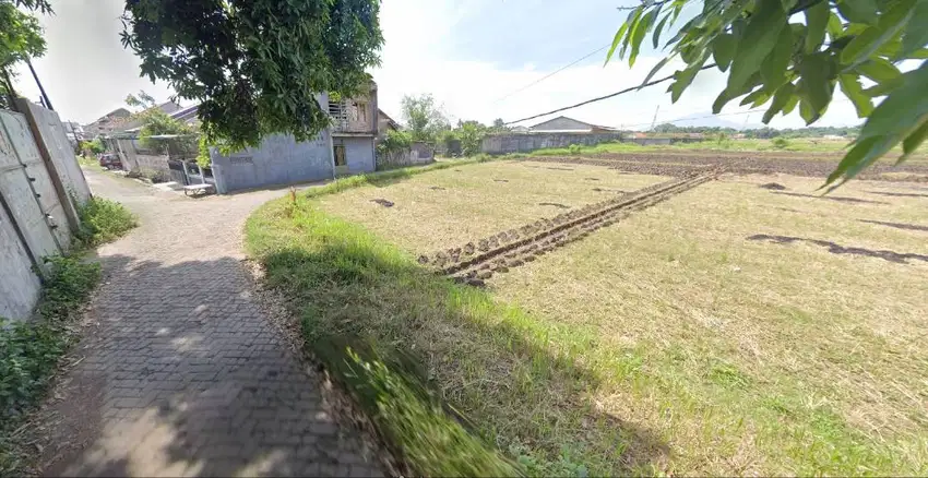 Dijual Tanah Desa Kalianget Banyuglugur Situbondo (Bonus Rumah Walet)
