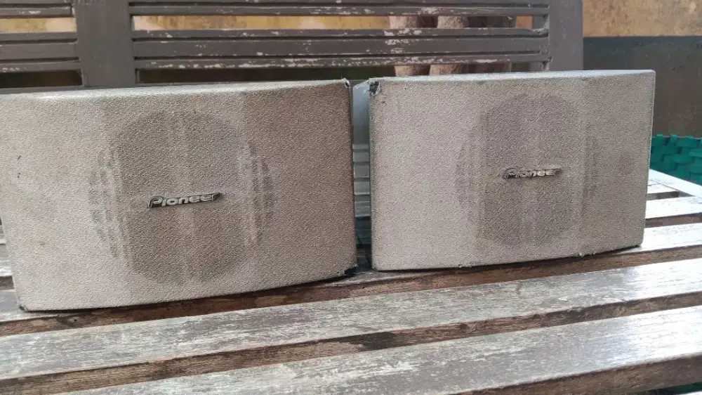 Surround pioneer normal