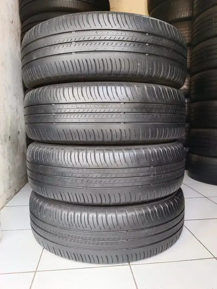 Ban 205 60 R17 Dunlop Enasave Raize Rocky