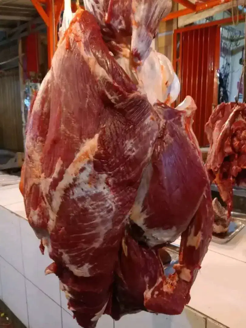 Daging Sapi Segar