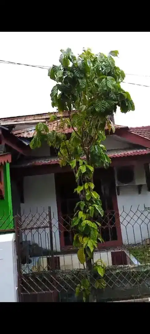 RUMAH DIJUAL BAYAR Bisa Bertahap