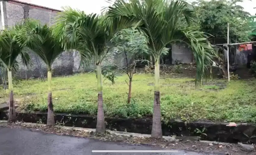 Dijual Tanah Kota Gede 317 M2 . LD 14 M2. Pinggir Aspal